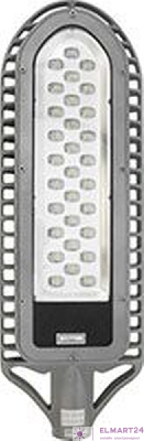 уличный светодиодный светильник 30LED/1W  AC90-265V серебро (IP65), SP2550 12128